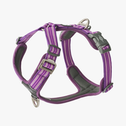 Harnais Comfort Walk Air™ - Violet