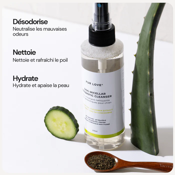 Eau micellaire pour chien