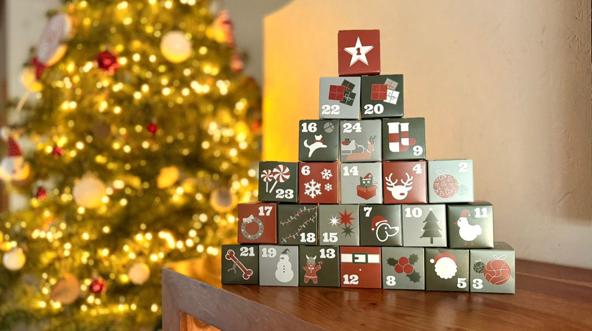 Calendrier de l’avent pour chien aux friandises naturelles