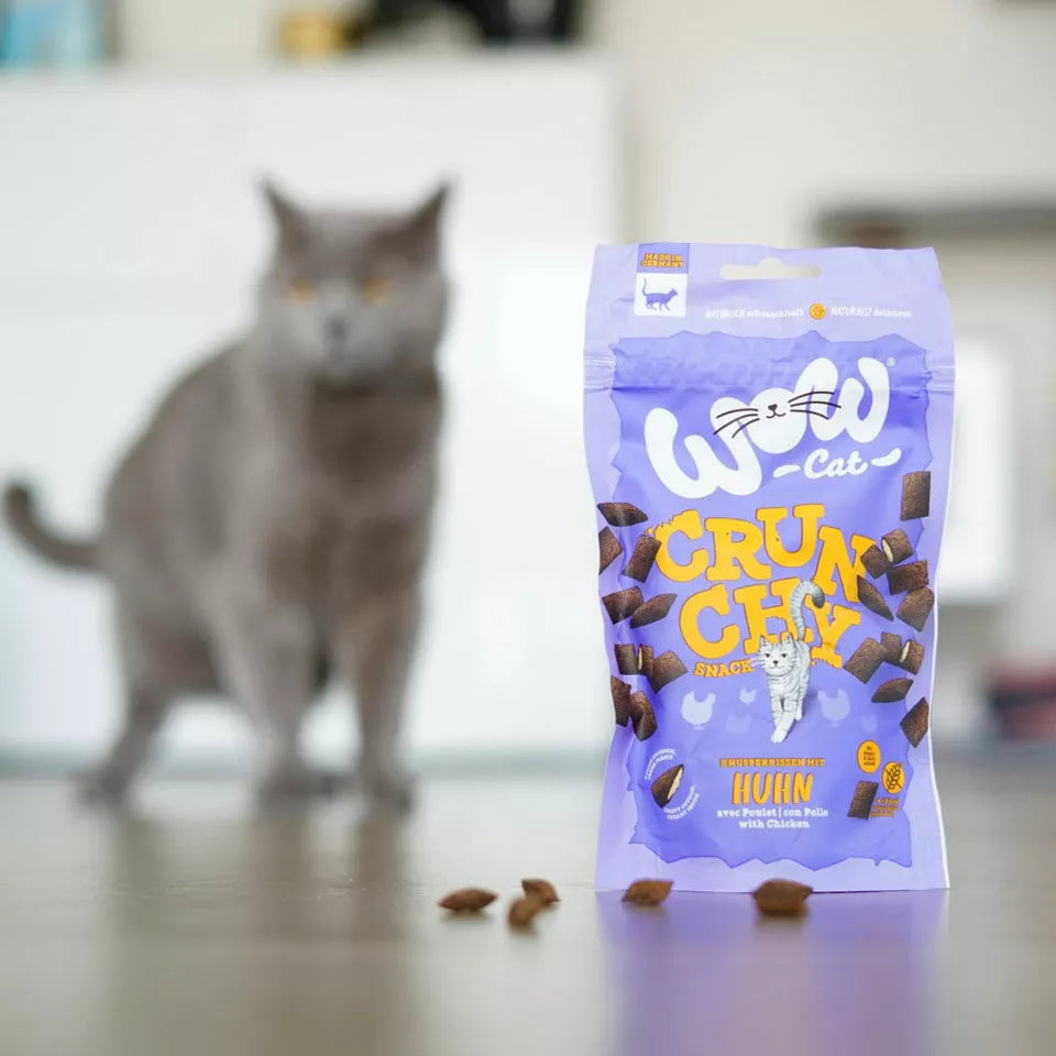 Poulet - Friandise pour chat