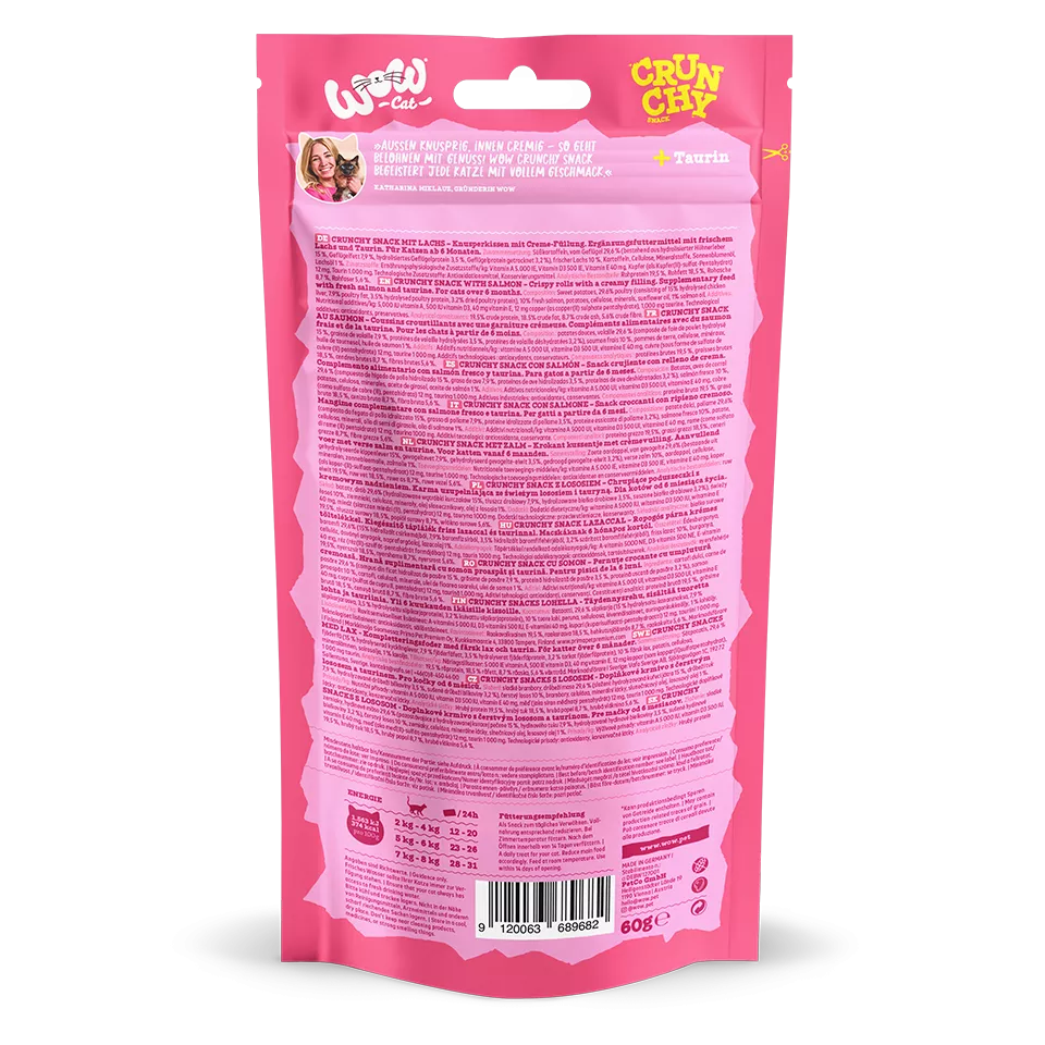 Saumon - Friandise pour chat