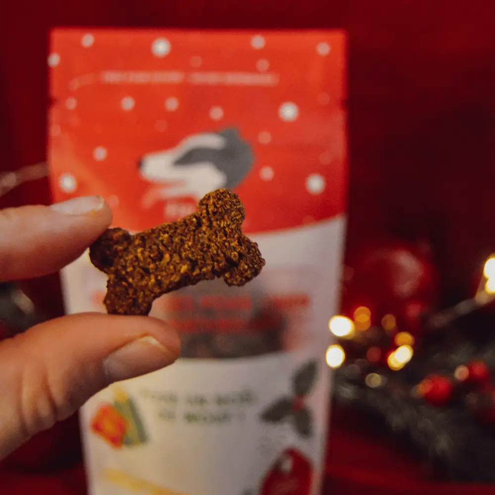 Friandise pour chien Noël - Fin Museau | Muzon