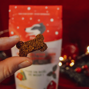 Friandise pour chien Noël - Fin Museau | Muzon