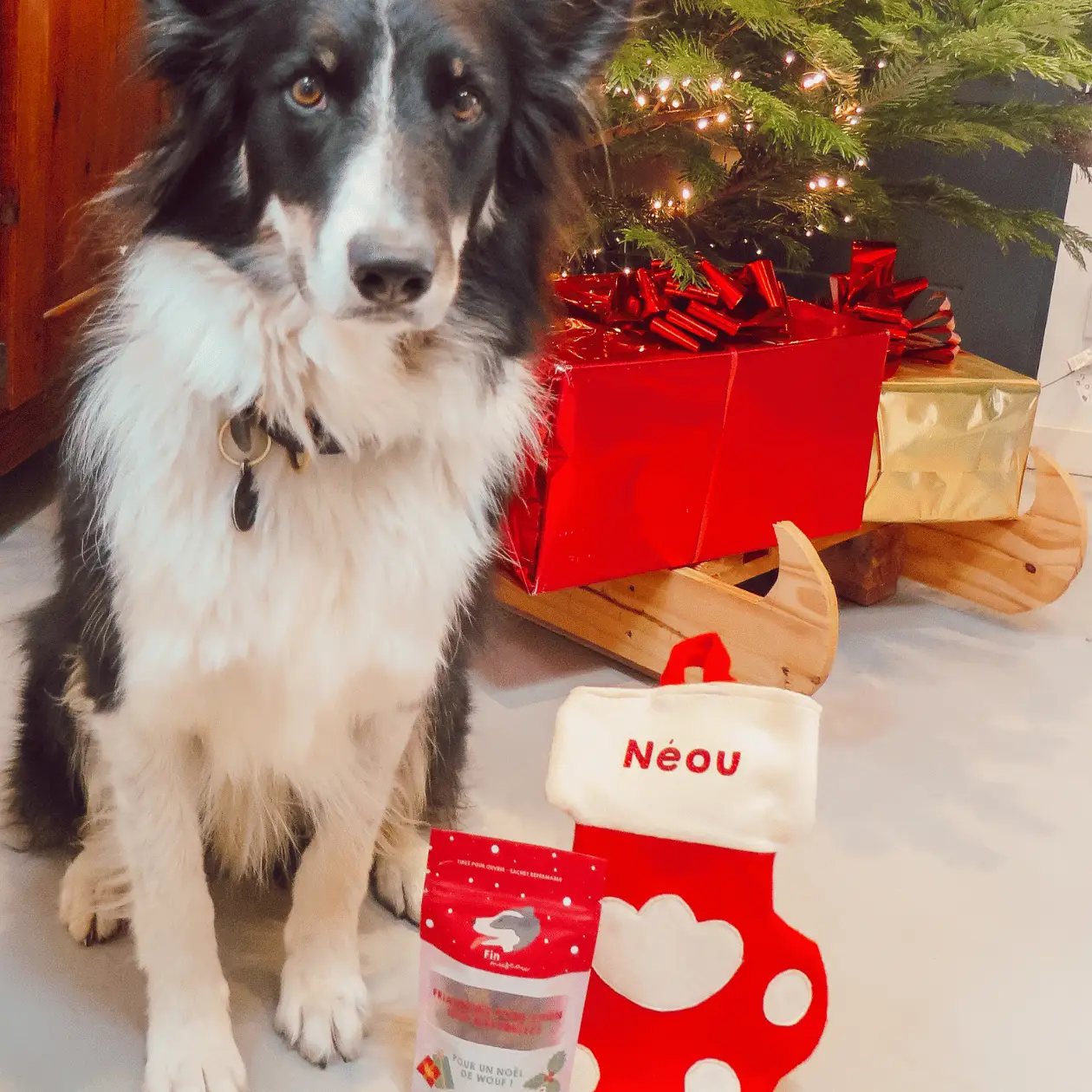 Friandise pour chien Noël