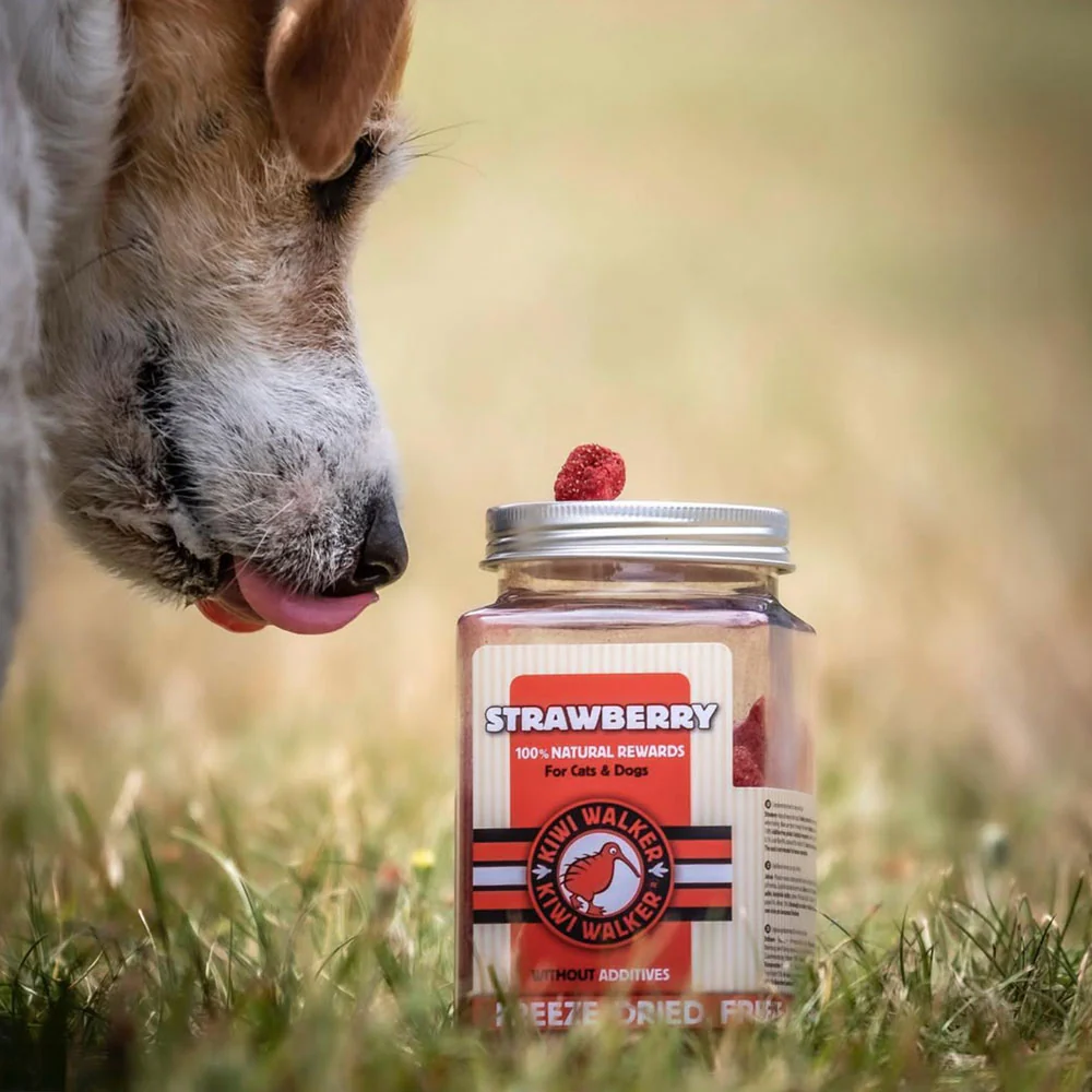 Fraises déshydratées - Friandises naturelles pour chien