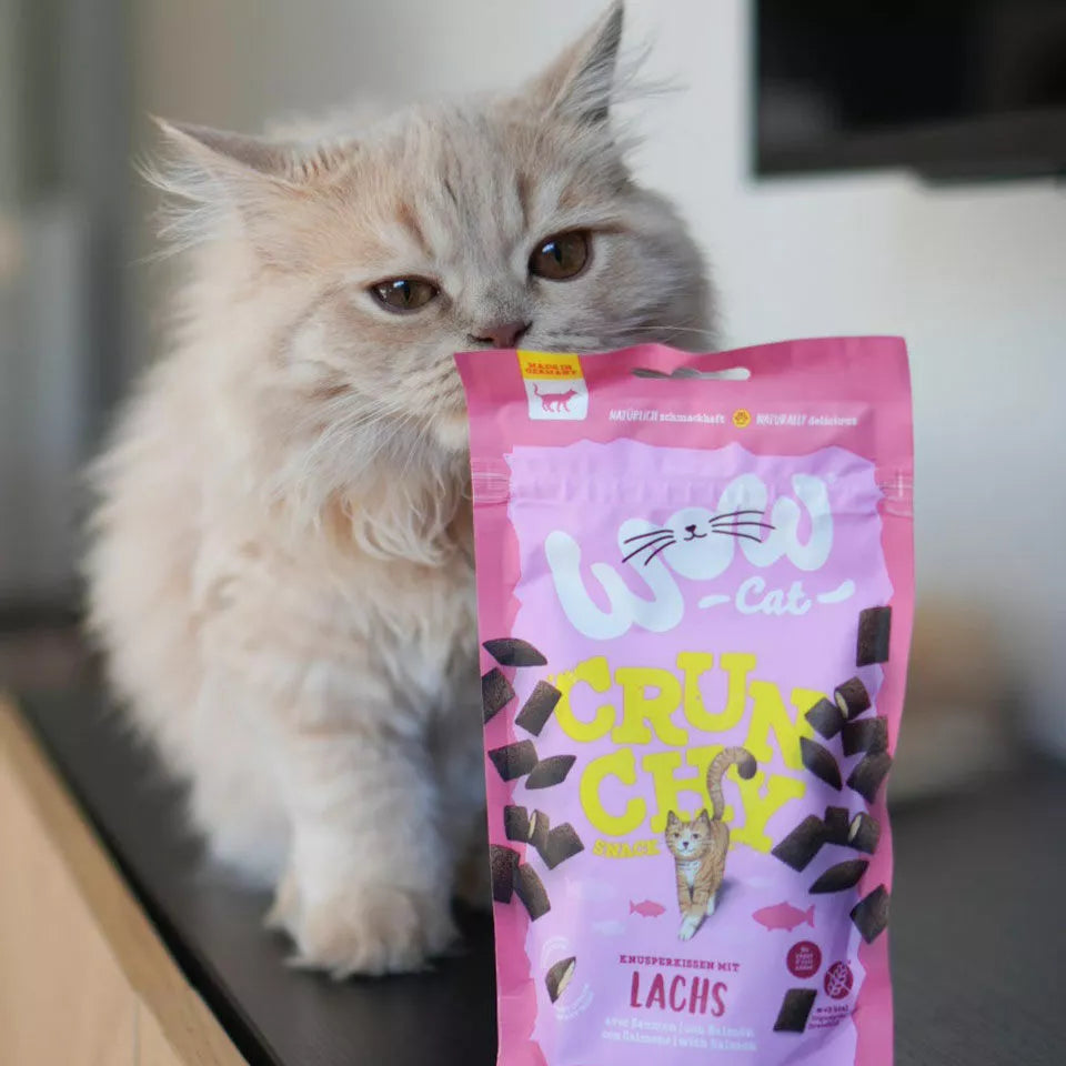 friandisesausaumonpourchat2.webp