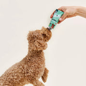 Pâté de foie - Friandises naturelles