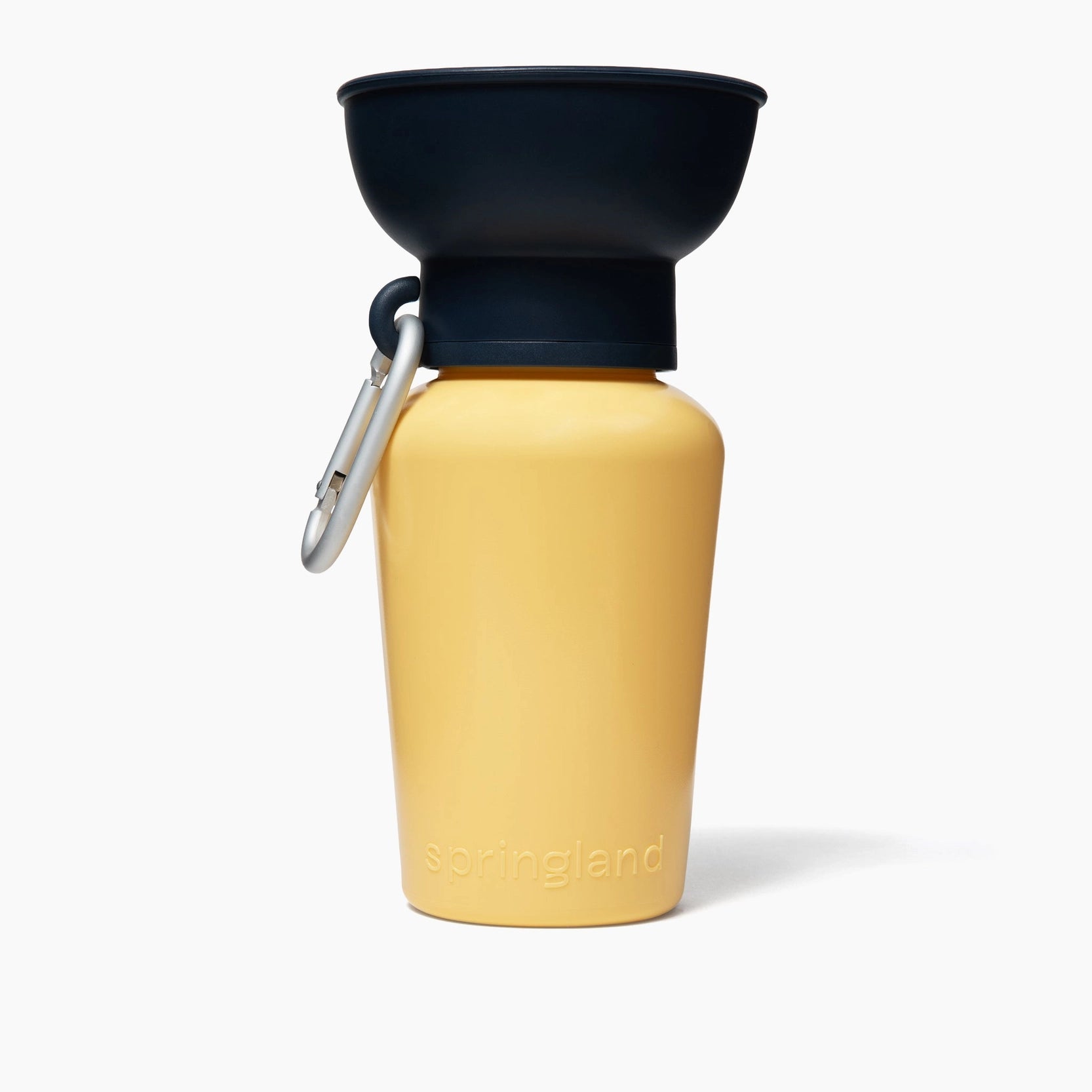 gourdenoireetjaune1.webp