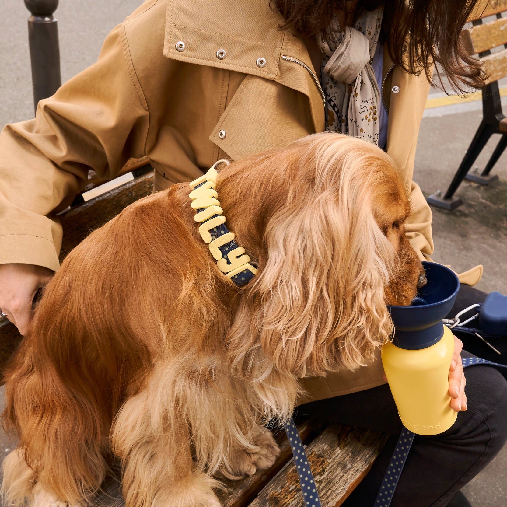 gourdenoireetjaune2.webp