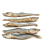 Bâtonnets de hareng - Mastication naturelle