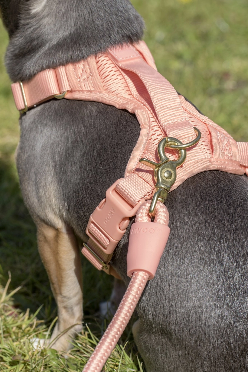 Harnais confortable rembourré en maille aérée pour chien - Pêche-Harnais-Awoo-Muzon