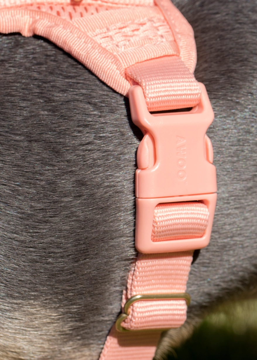 Harnais confortable rembourré en maille aérée pour chien - Pêche-Harnais-Awoo-Muzon