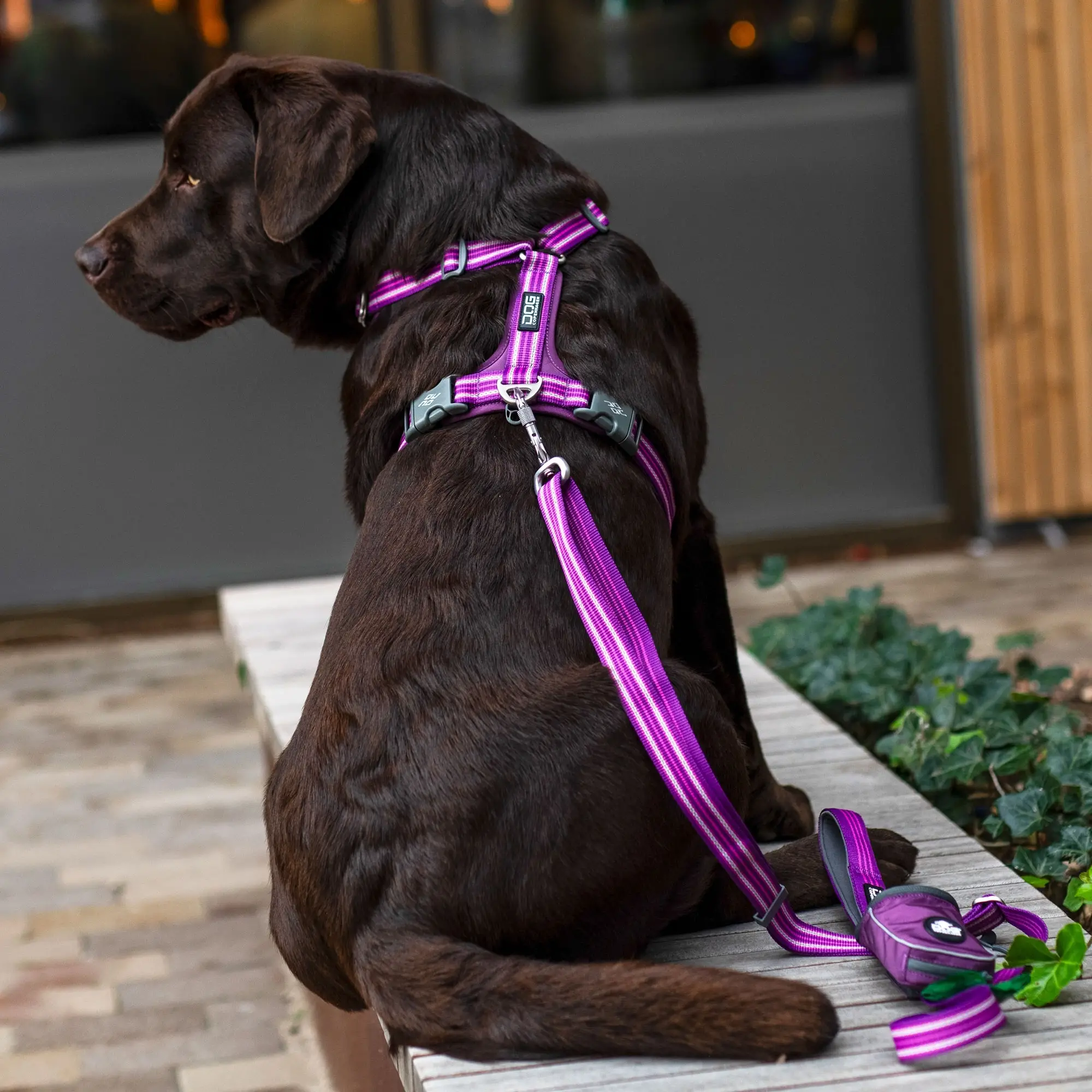 Harnais Comfort Walk Air™ - Marron