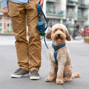 Harnais Comfort Walk Air™ - Jaune