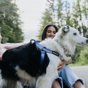 Harnais - Kona-Harnais-Wanderruff-Muzon