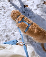 Harnais waterproof - Malibu blue