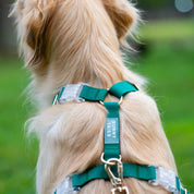 Harnais waterproof - Green cloud