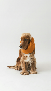 Snood imperméable - Orange