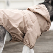 Imperméable pour chien