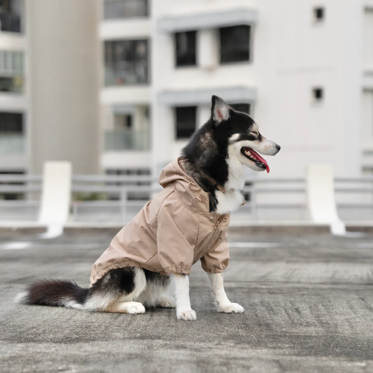 Imperméable pour chien - Beige - Lambwolf Collective