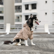 Imperméable pour chien - Beige - Lambwolf Collective