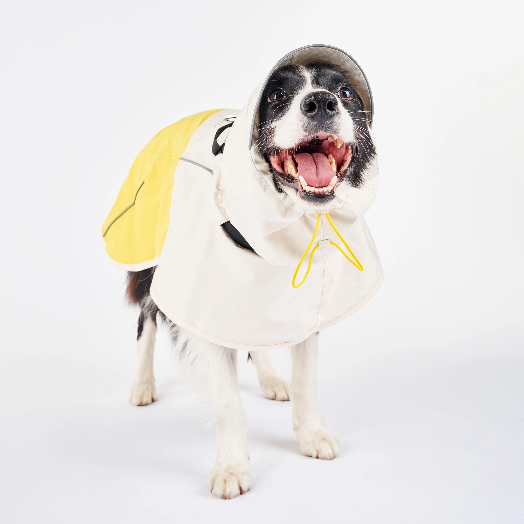 Imperméable pour chien - Blanc & Jaune
