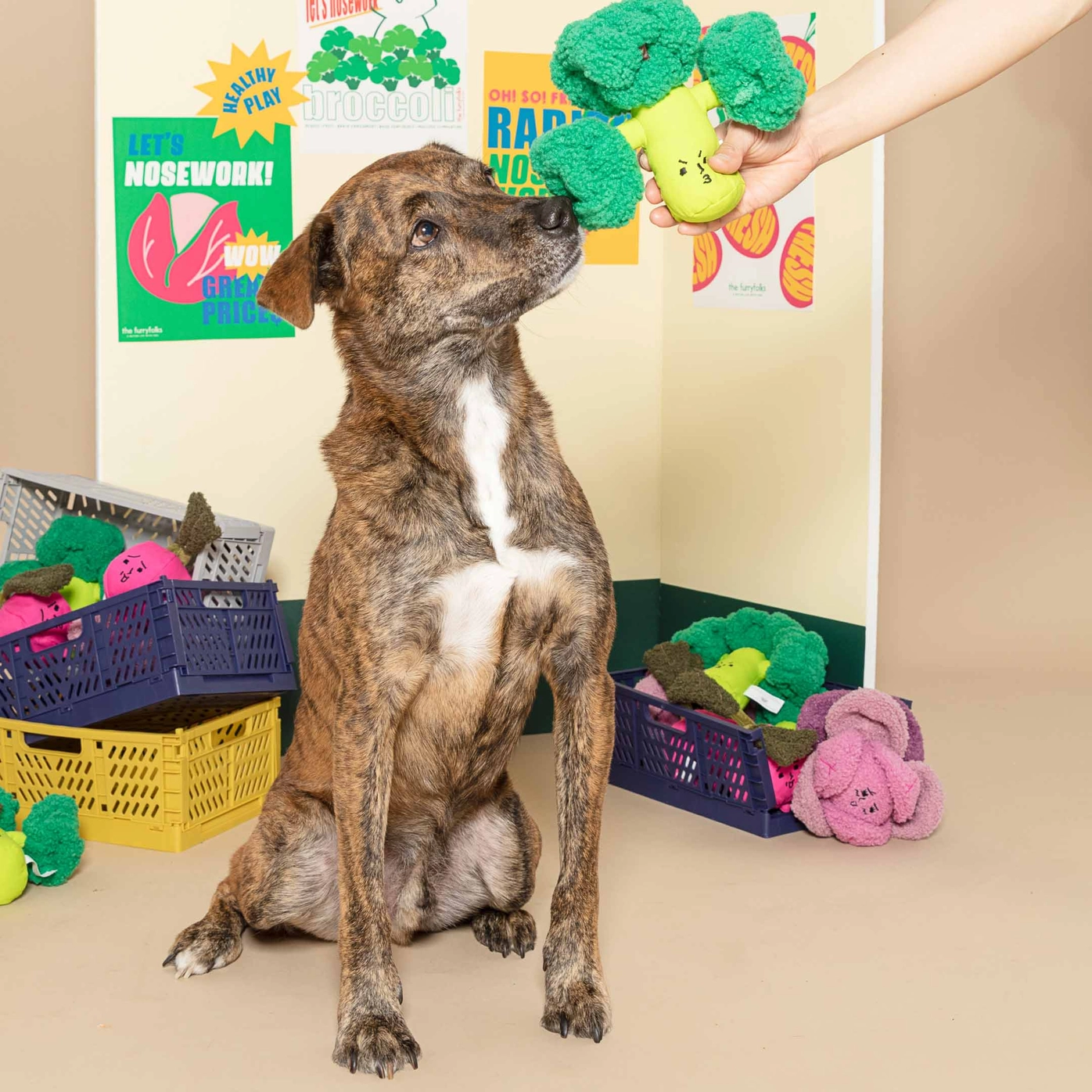 Brocoli pour chien - Jouet interactif pour divertir votre animal | Marque Muzon