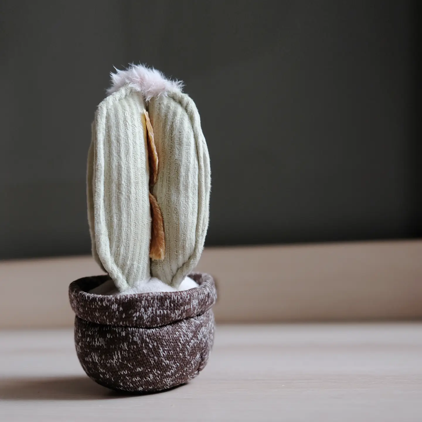 Jouet de fouille - Le cactus-Jouets de fouille-Muzon