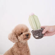 Jouet de fouille - Le cactus-Jouets de fouille-Muzon