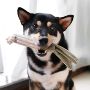 Jouet d'occupation pour chien - Poireau et Maïs à fouiller