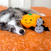 Snuffle Toy - The Pumpkin