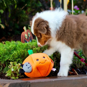 Snuffle Toy - The Pumpkin