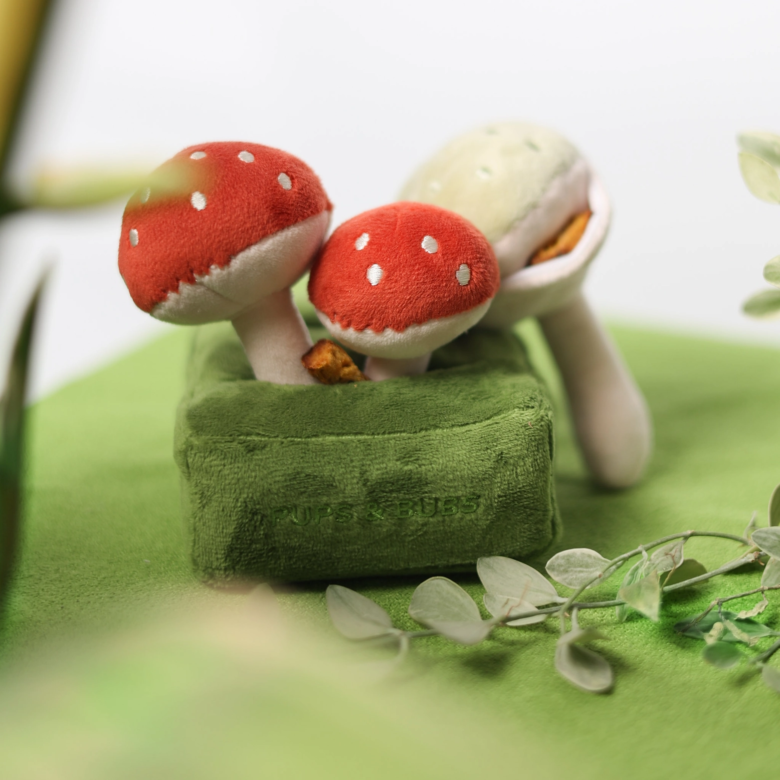 Jouet de fouille - Les champignons