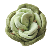 Snuffle toy - The cabbage