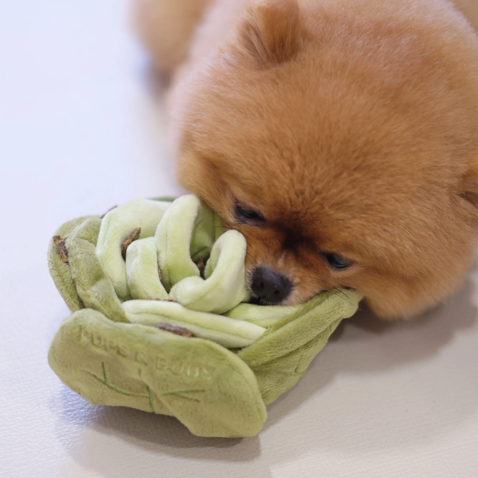 Snuffle toy - The cabbage