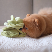 Snuffle toy - The cabbage