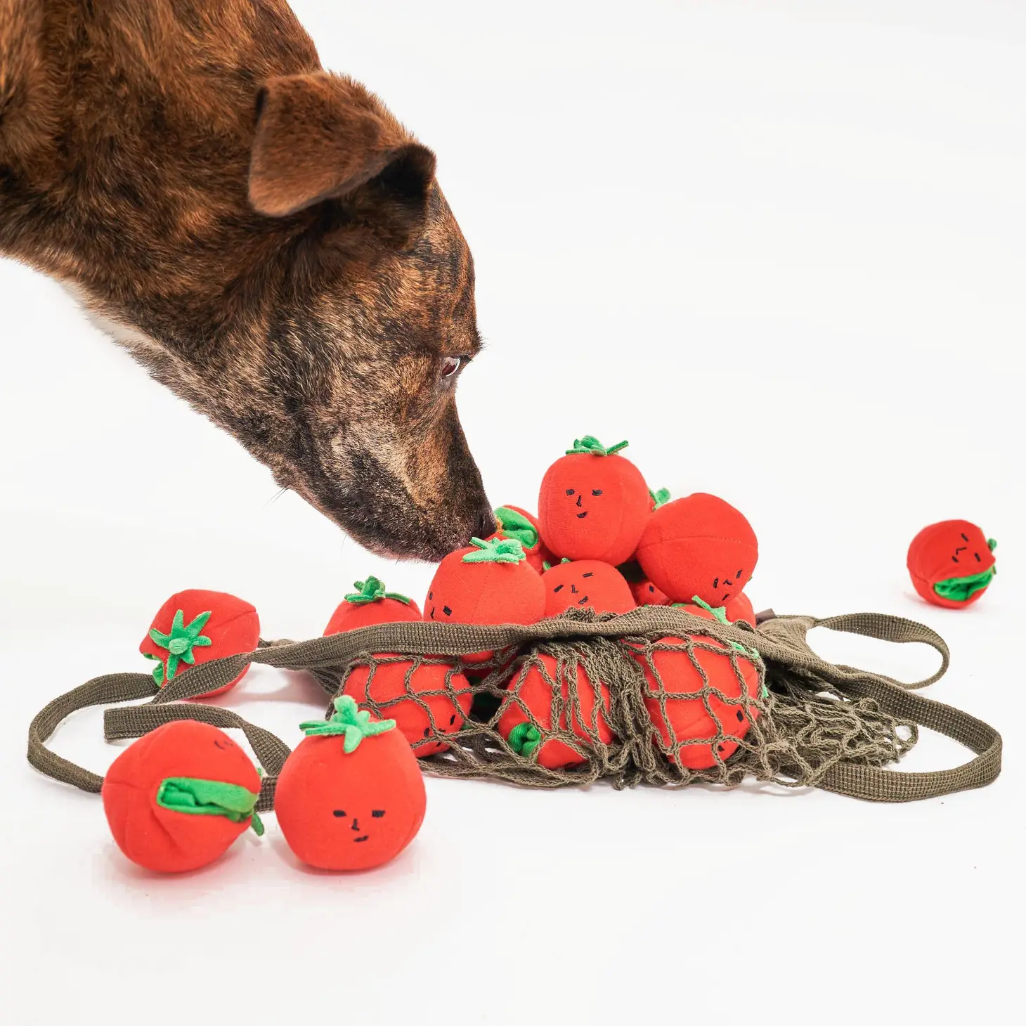 Tomates cerises pour chien - Divertissement interactif pour compagnon à quatre pattes | Marque Muzon