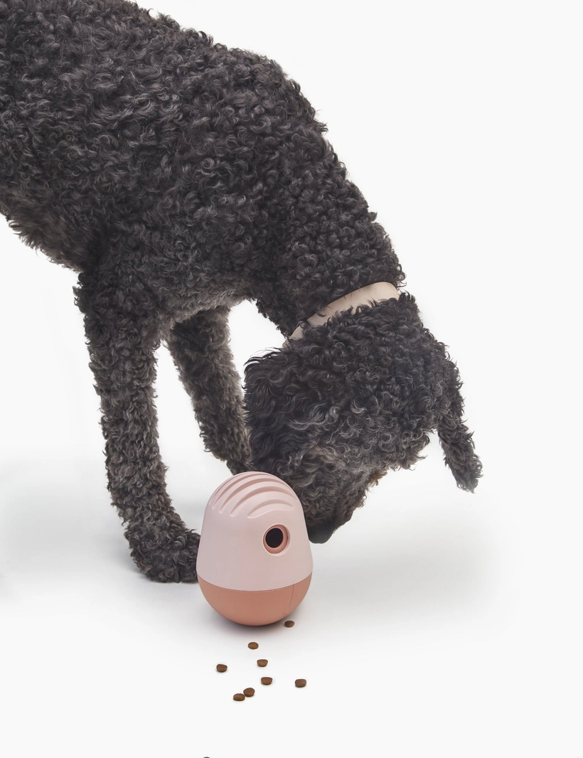 Jeu à remplir pour chien - Rose interactif pour stimuler l'exploration | Marque Muzon