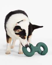 Twin Falco Vert pour chien - Jeu interactif pour stimuler l'exploration | Marque Muzon