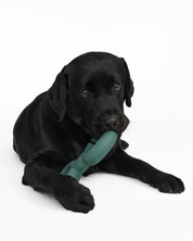 Jeu d'intelligence pour chien - Twin Falco Vert pour divertir votre animal | Marque Muzon