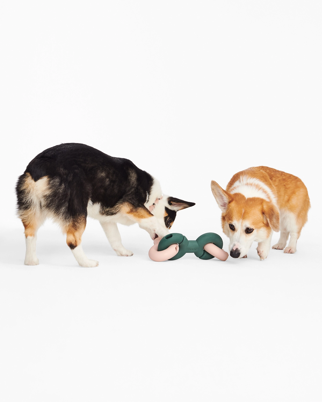Jeu d'intelligence pour chien - Twin Falco Vert