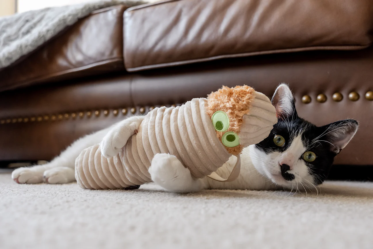 Peluche - La momie