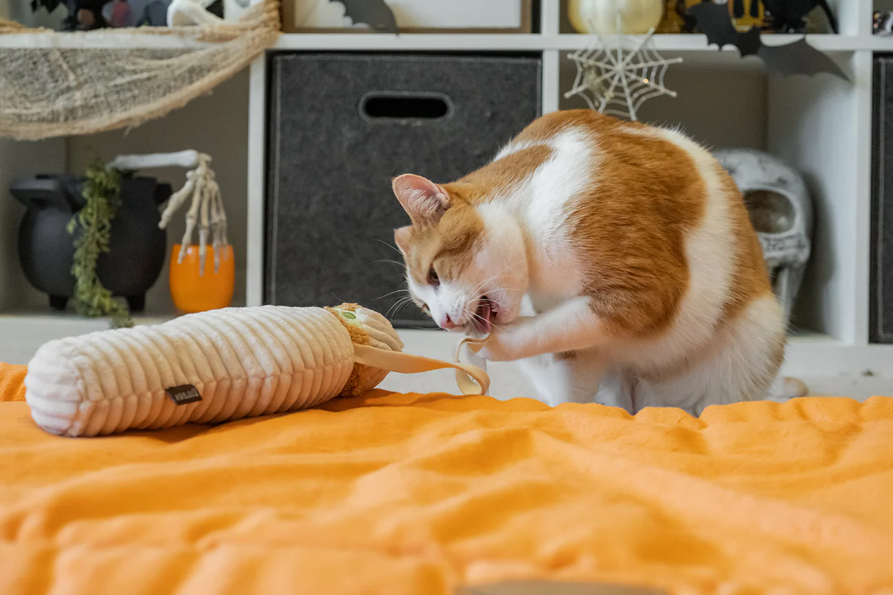 jouet-pour-chat-momie-4.png