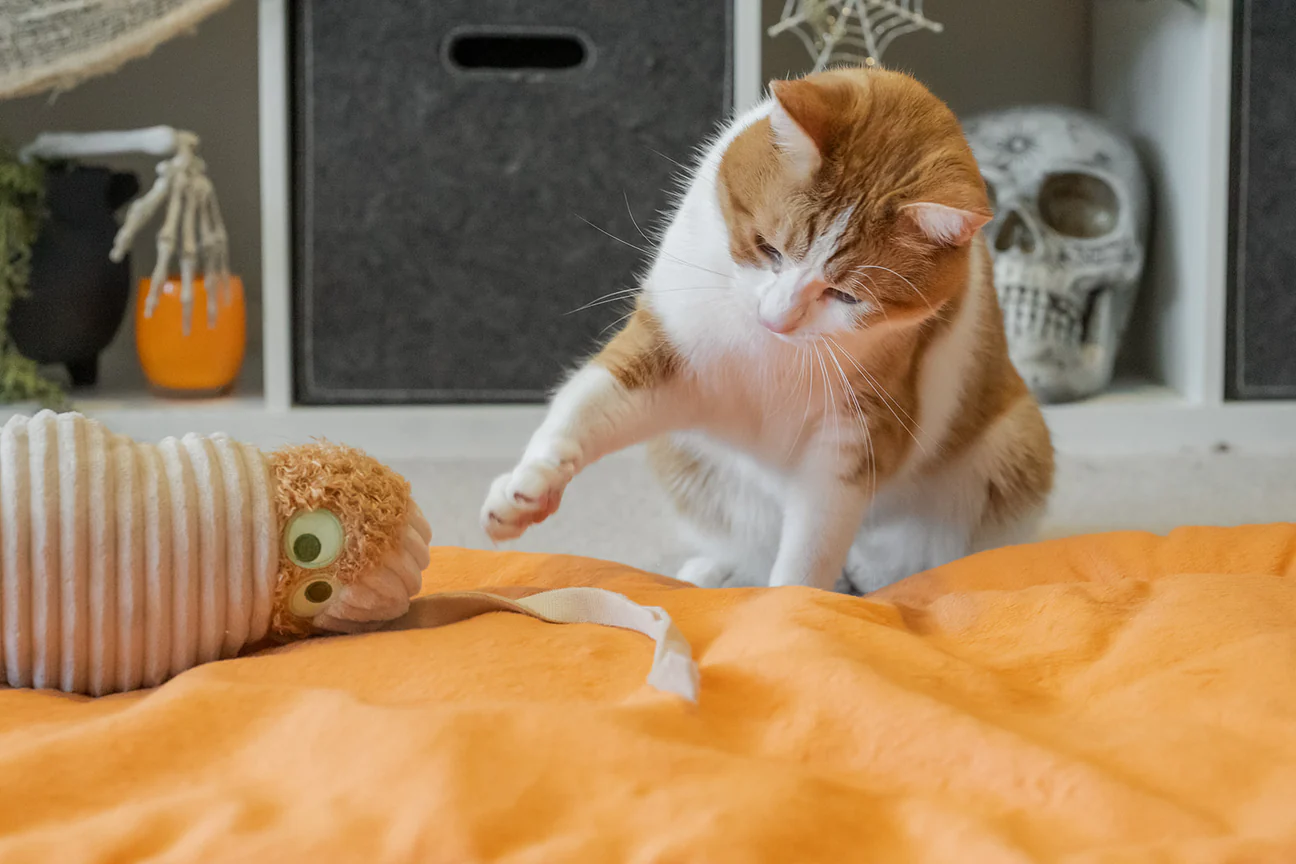 Peluche - La momie