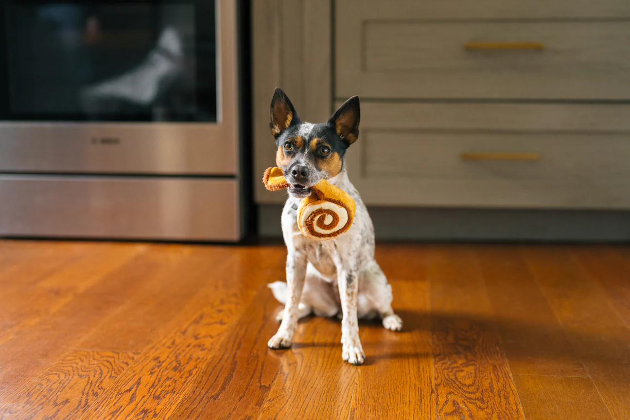 Peluche - Le cinnamon roll