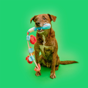 Foraging Toy - Fishing Rod
