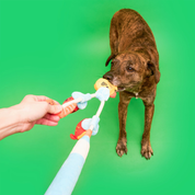 Foraging Toy - Fishing Rod