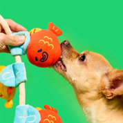 Foraging Toy - Fishing Rod