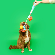 Foraging Toy - Fishing Rod