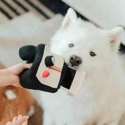 Schnüffelspielzeug - Die Polaroidkamera